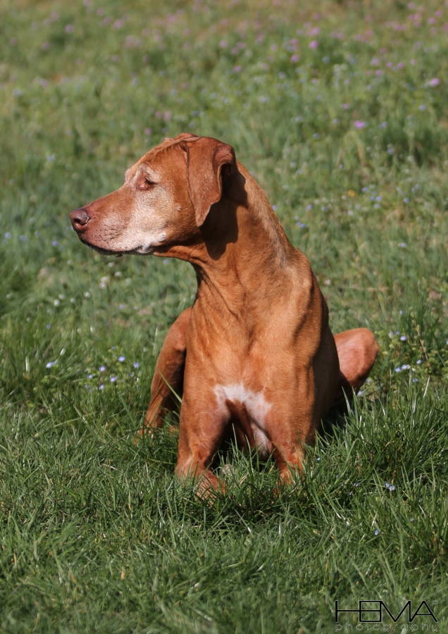 #24